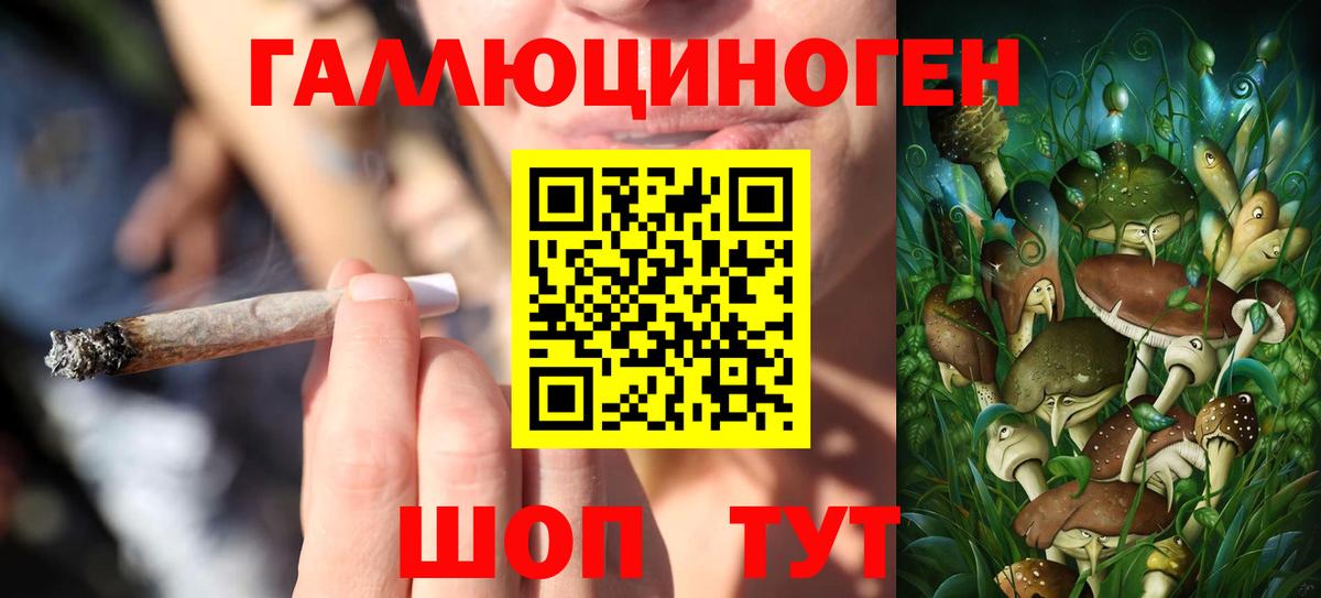 наркота  Псилоцибиновые грибы мухоморы  Вход с VPN  Моздок 