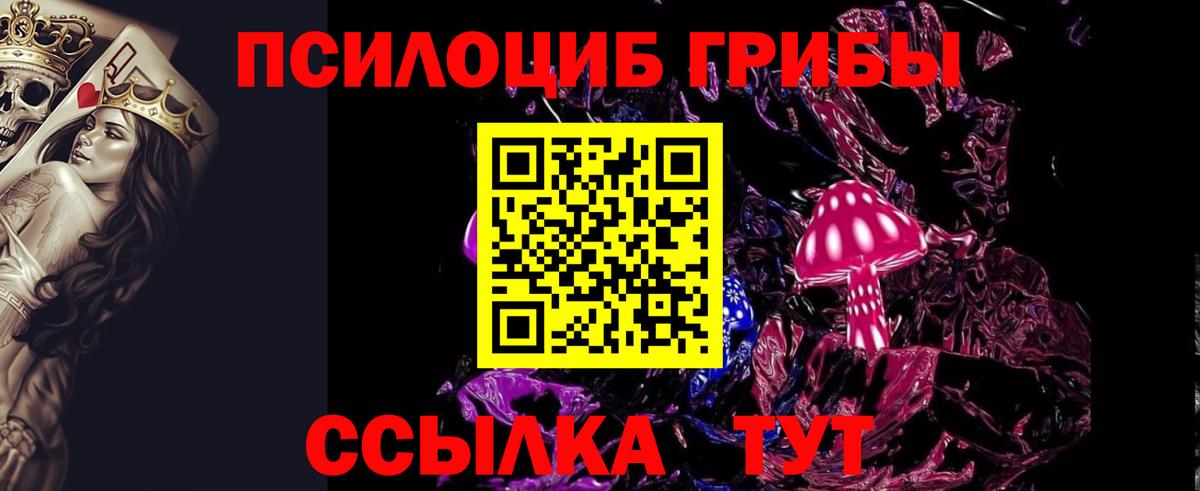 Псилоцибиновые грибы Psilocybine cubensis Моздок